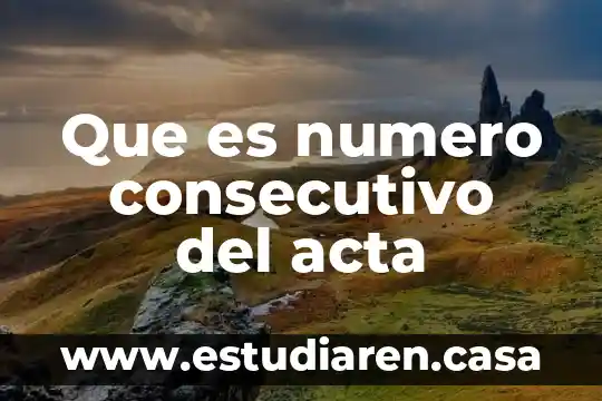 Que es numero consecutivo del acta