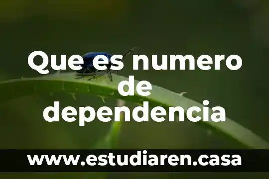 Que es numero de dependencia