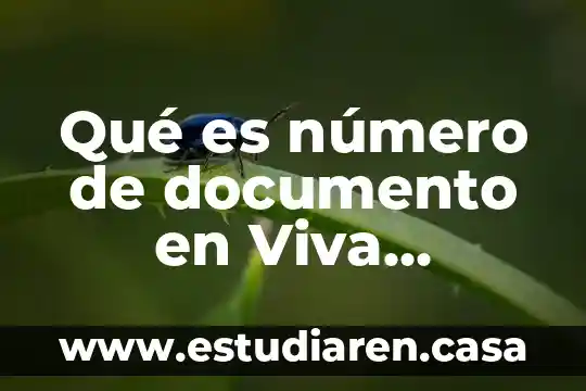 Qué es número de documento en Viva Colombia