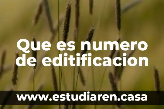 Que es numero de editificacion