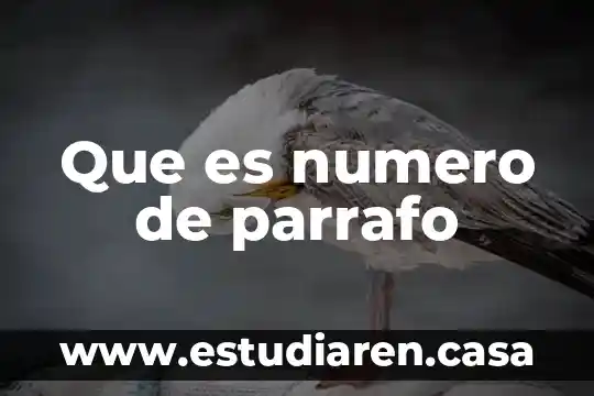 Que es numero de parrafo