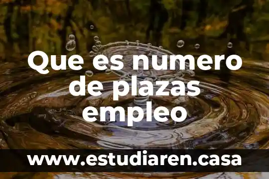 Que es numero de plazas empleo