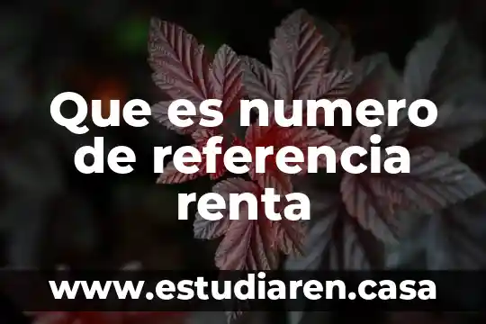 Que es numero de referencia renta