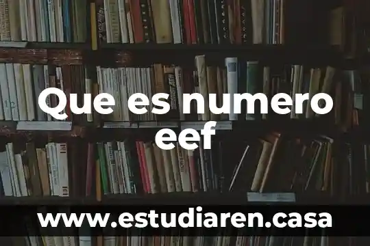 Que es numero eef