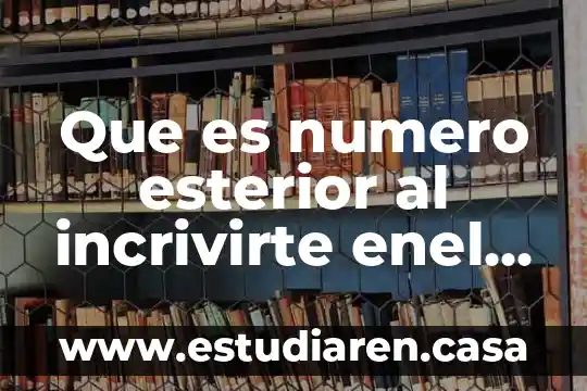 Que es numero esterior al incrivirte enel subes