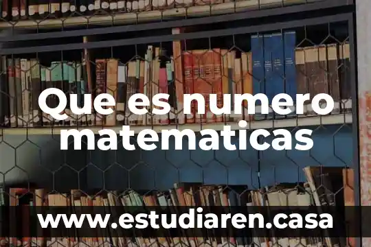 Que es numero matematicas