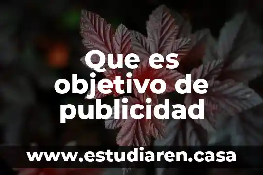 Que es objetivo de publicidad