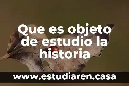 Que es objeto de estudio la historia