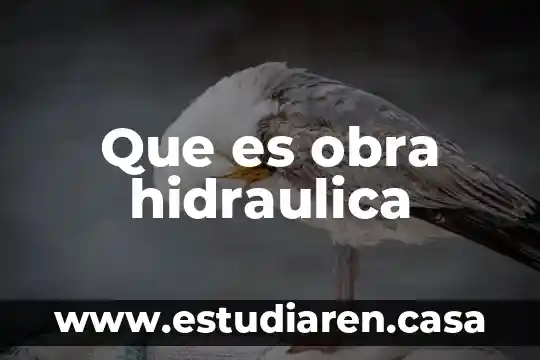 Que es una obra de teatro y sus elementos schilder 5 Que es obra hidraulica