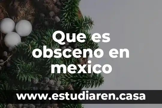 Que es obsceno en mexico
