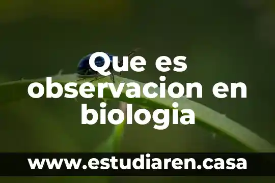 Que es proto word 3 Que es observacion en biologia