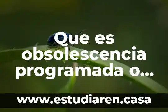Que es el contenido de un texto ejemplo 6 Que es obsolescencia programada o planificada segun el autor