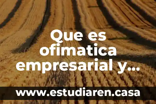 Que es ofimatica empresarial y de gestion