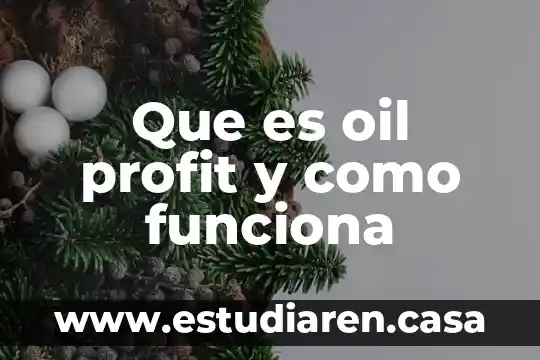 Que es mpls como funciona 4 Que es oil profit y como funciona