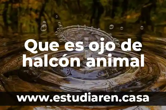 Que es ojo de halcón animal