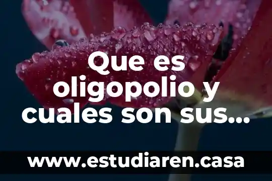 Que es oligopolio y cuales son sus caracteristicas