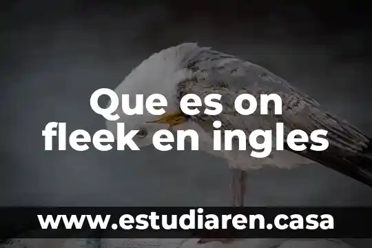 Que es on fleek en ingles