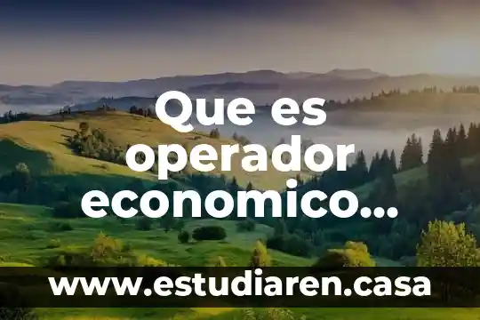 Que es operador economico actualizado