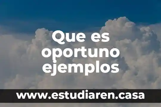 Ejemplos de que es campo 4 Que es oportuno ejemplos