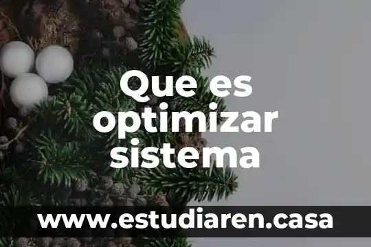 Que es el sistema incorporado a la unam 5 Que es optimizar sistema