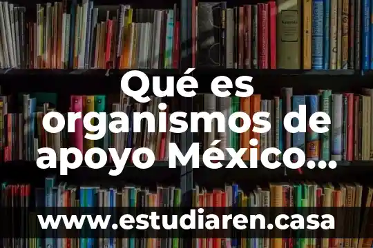 Qué es organismos de apoyo México en finanzas