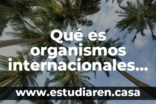 Que es canon de la conducci贸n de las relaciones internacionales 6 Qu茅 es organismos internacionales y relaciones de poder leip