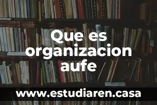 Qué es significan las siglas nif 3 Que es organizacion aufe