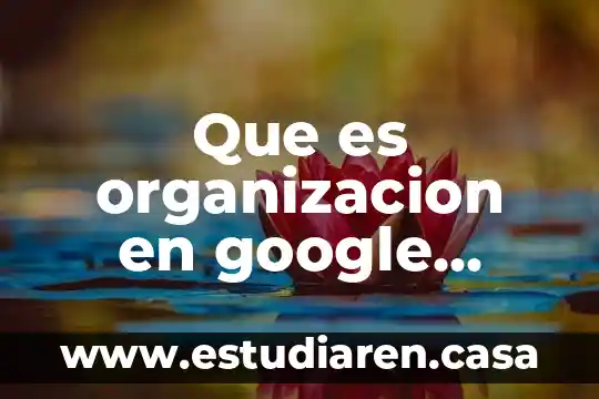 Que es transfondo diccionario la real academia española 5 Que es organizacion en google academia