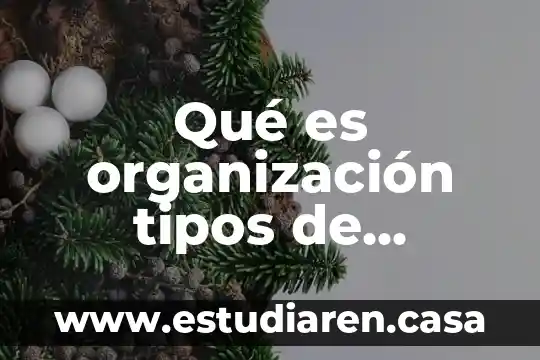 Qué es organización tipos de empresa