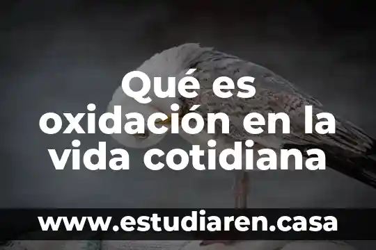 Que es el agua de oxidacion 8 Qué es oxidación en la vida cotidiana