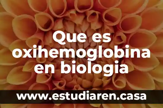 Que es oxihemoglobina en biologia