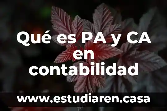 Que es ca en matematicas 8 Qué es PA y CA en contabilidad