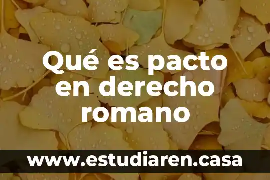 Que es novellae en derecho romano 4 Qué es pacto en derecho romano