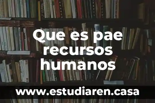 Por que es importante dibulgar los derechos humanos 3 Que es pae recursos humanos