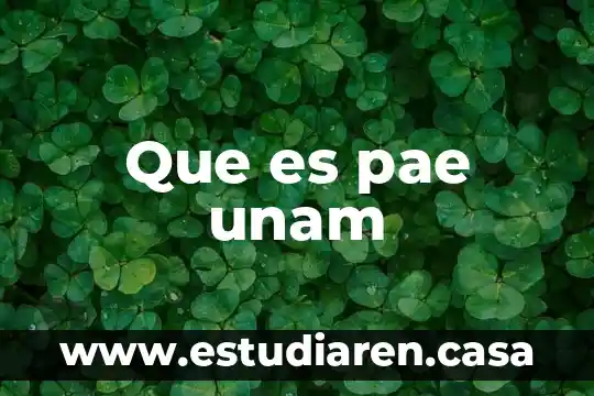 Qué es alimentarse unam 4 Que es pae unam