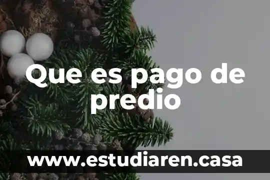 Que es el pago de canasta 6 Que es pago de predio