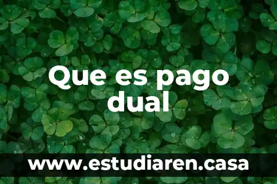 Que es una persona dual 6 Que es pago dual