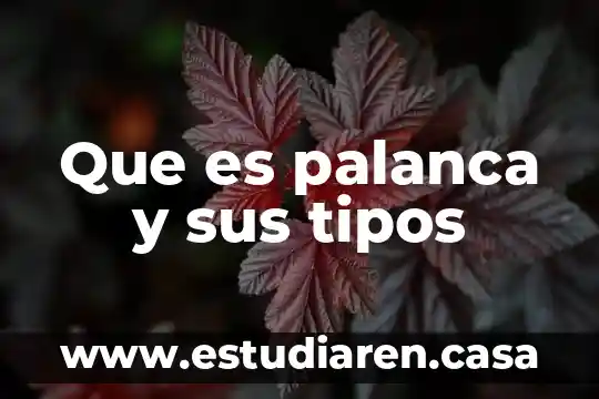 Que es palanca y sus tipos