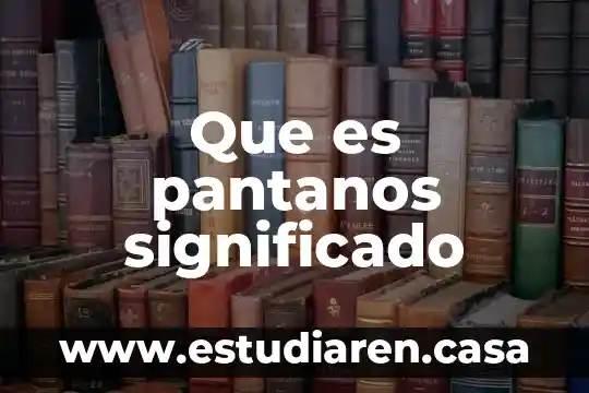 Que es pantanos significado
