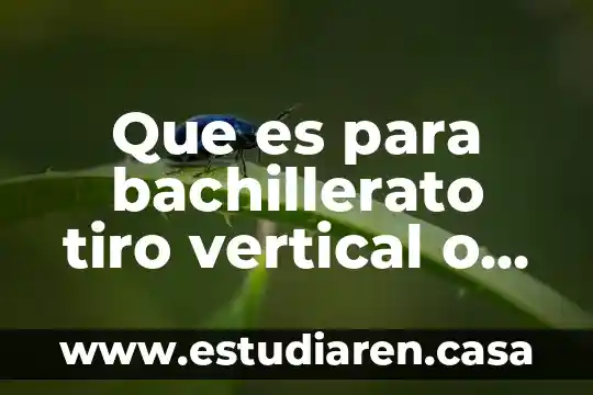 Que es analisis vertical ejemplo 5 Que es para bachillerato tiro vertical o movimiento parabólico