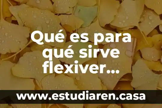 Qué es para qué sirve flexiver compuesto