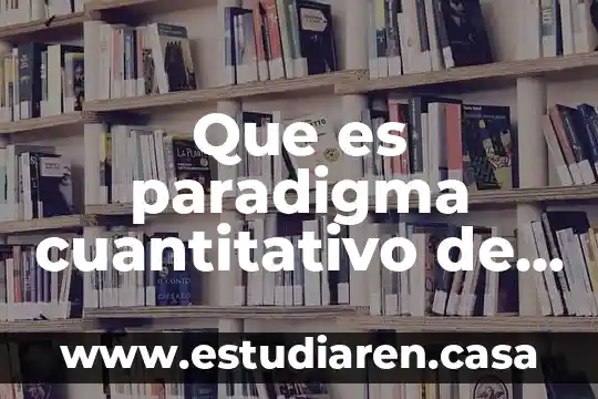 Que es una investigacion micro 4 Que es paradigma cuantitativo de investigacion