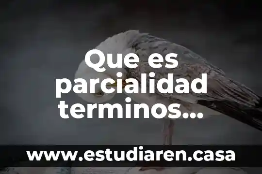 Que es empirismo segun david home 3 Que es parcialidad terminos legales
