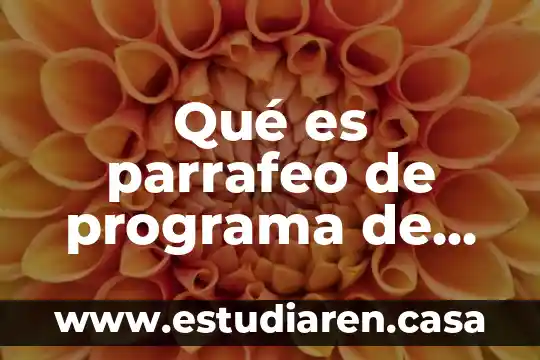 Que es la ejecucion civil 5 Qué es parrafeo de programa de protección civil