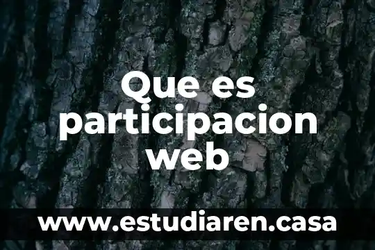Que es participacion web