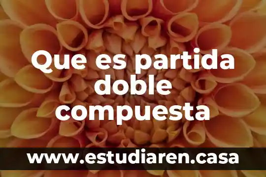 Que es una partida de gasto 7 Que es partida doble compuesta
