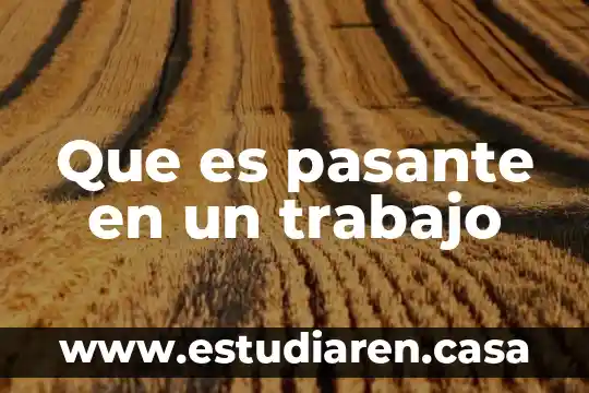 Que es pasante en un trabajo