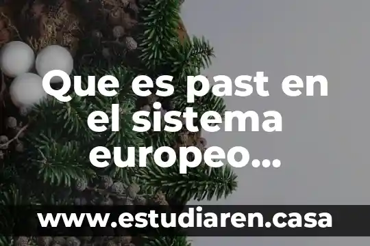 Que es past en el sistema europeo simbolo