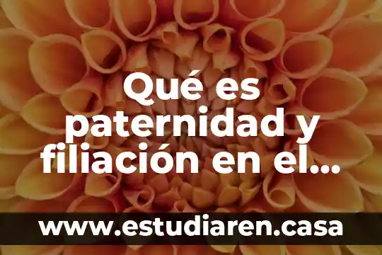 Que es modo kernel 8 Qué es paternidad y filiación en el derecho mexicano