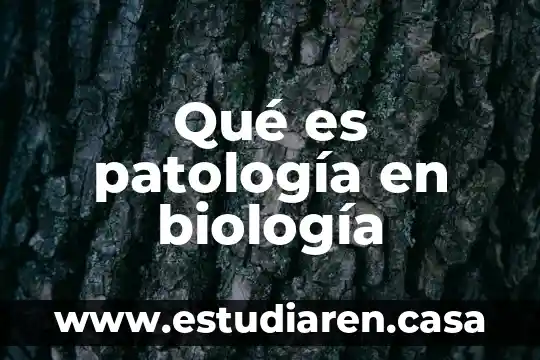 Qué es un médico cirujano en patología clínica 3 Qué es patología en biología